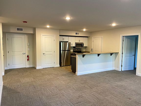 Living room and kitchen