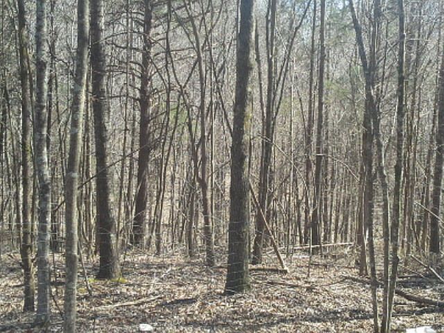 1st image of 135 West Cir