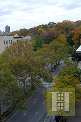 Sold by Halstead Real Estate | media 4