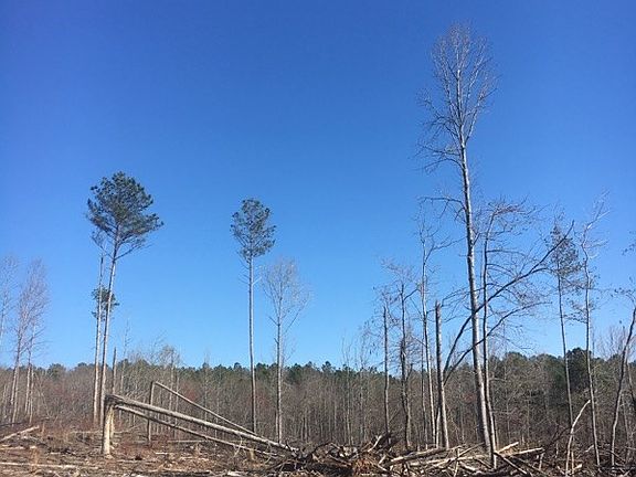 3rd image of 10 Acres County Road 102