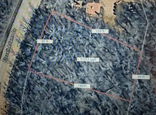 LOT 45 Jim Walter Dr, Bridgeport, TX 76426