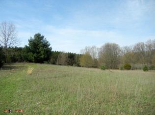 14316 Four Mile Rd NE, Belding, MI 48809