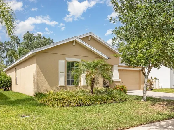 10036 Crested Fringe Dr, Riverview, FL 33578