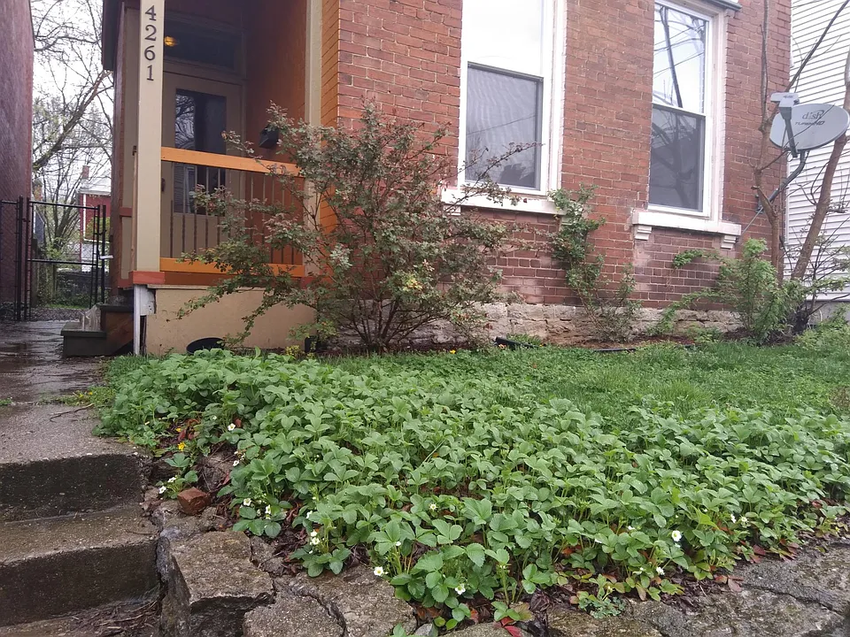 4261 Fergus St