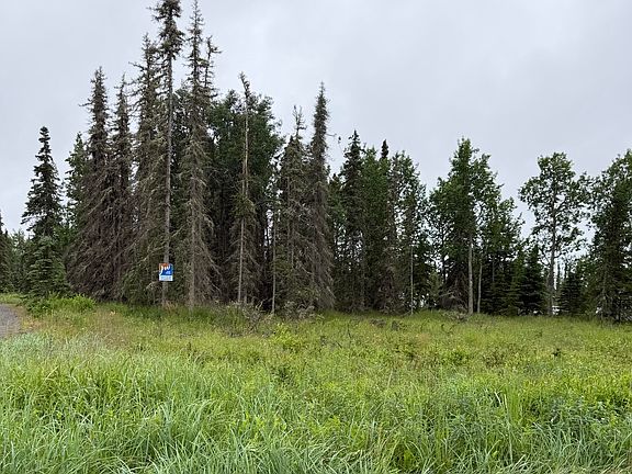 5th image of 38602 Kalifornsky Beach Rd