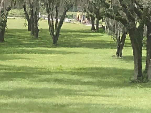 Front looking at gate auto