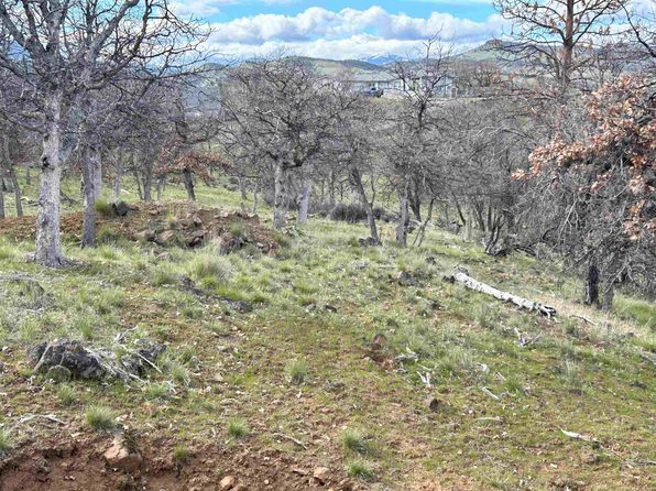 Lots 275 76 77 Cougar St, Hornbrook, CA 96044