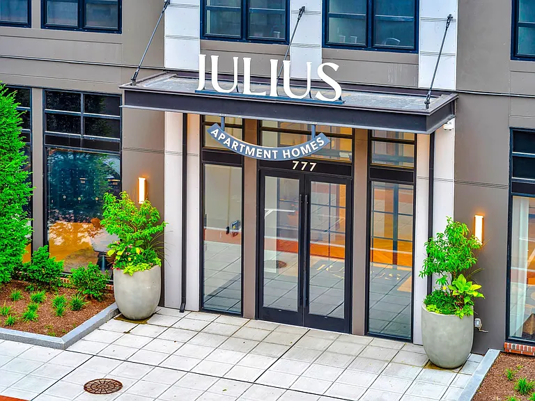 Julius — Photo 31