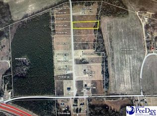 21 Step Rd, Wallace, SC 29596