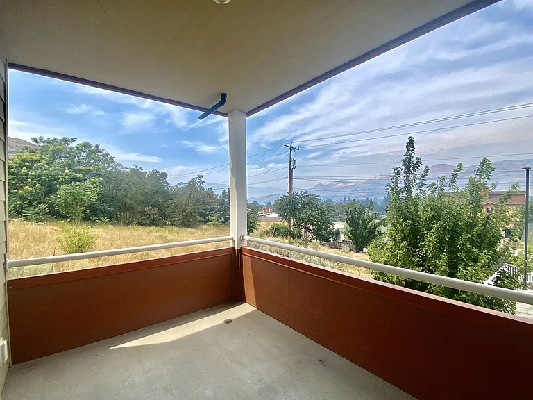 809 S Emerson St — Photo 15