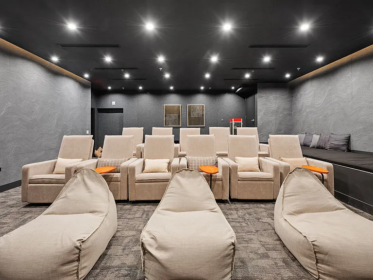 Private Theater Room