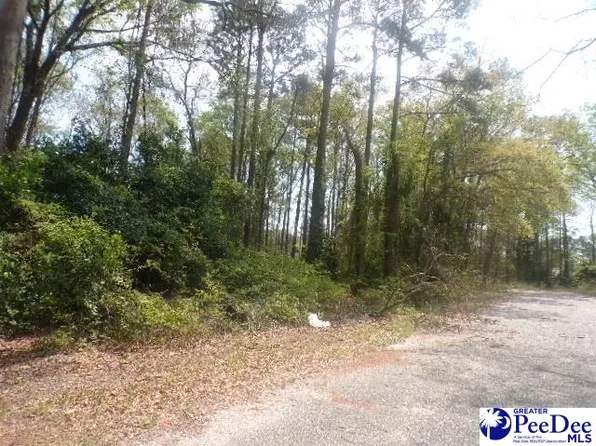 LOT 9 Easy St, Hartsville, SC 29550