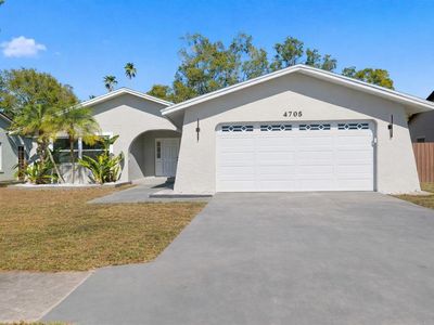 4705 Cypress Tree Dr, Tampa, FL, 33624