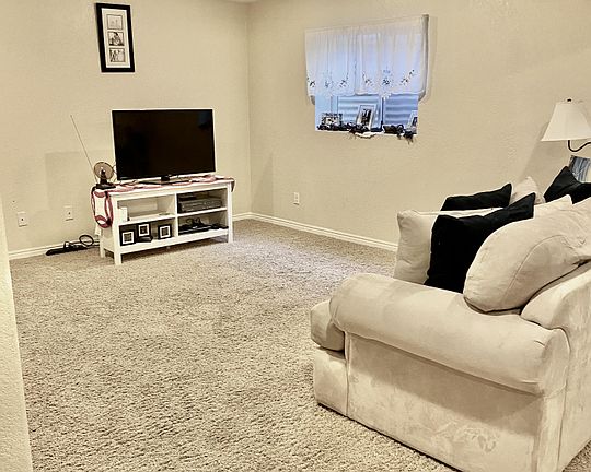 Basement Living Room