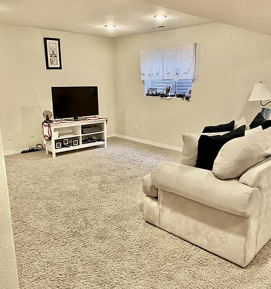 Basement Living Room
