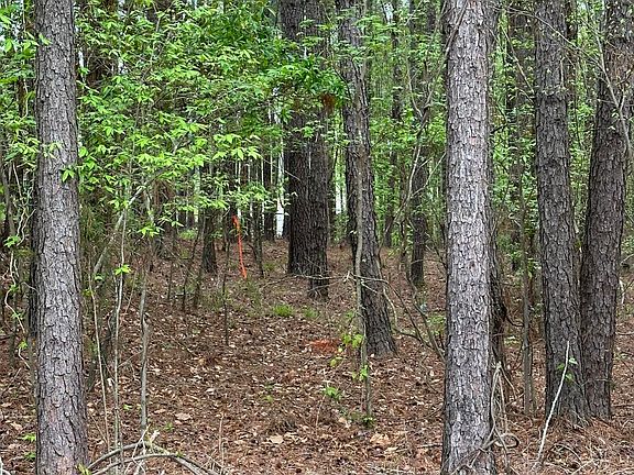 1 E Ridge Rd, Appling, GA 30802 | MLS #527375 | Zillow