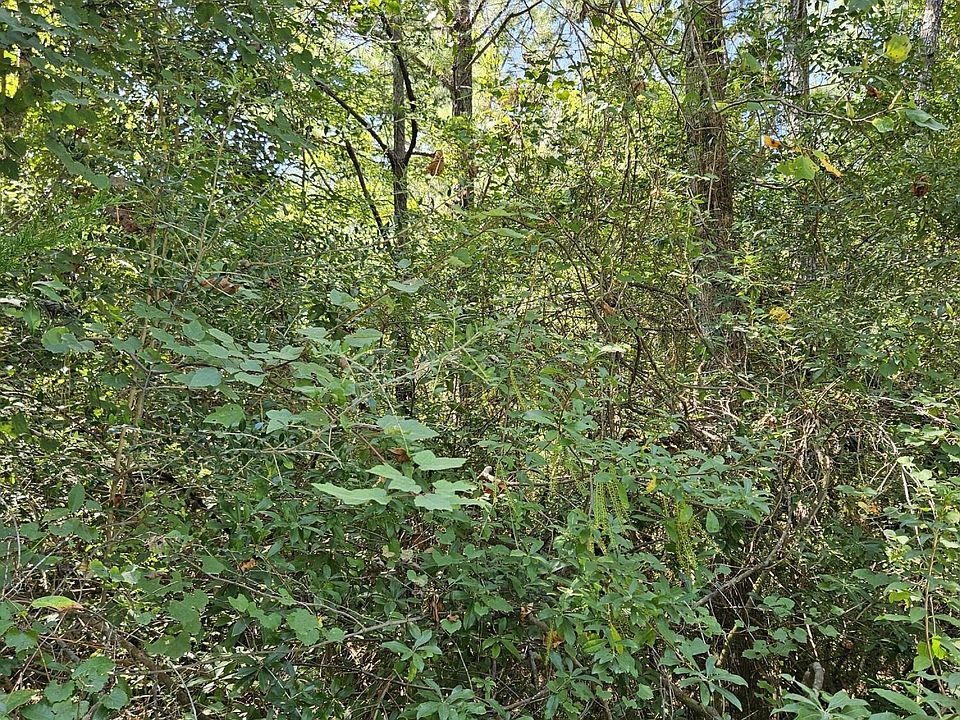 2nd image of 37 Plantation Ln