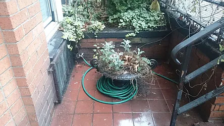 Rented by Sky Management