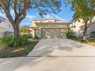 19538 Timberbluff Dr, Land O Lakes, FL 34638