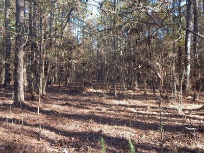 4561 Ennis Rd, Starkville, MS, 39759