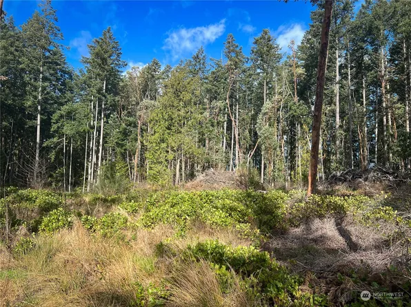 90 (TBD) Steelhead Place, Nordland, WA 98358