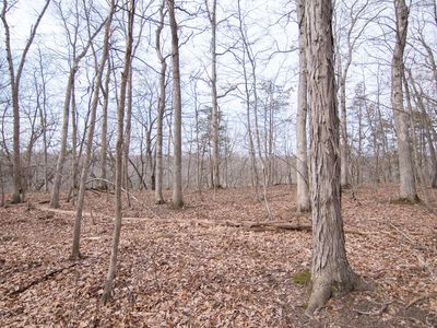 5033 Red Fox Run, Ann Arbor, MI, 48105