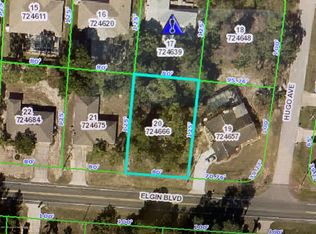 Elgin Blvd, Spring Hill, FL 34608