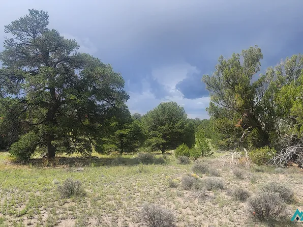 Pinewood Cir, Pie Town, NM 87827