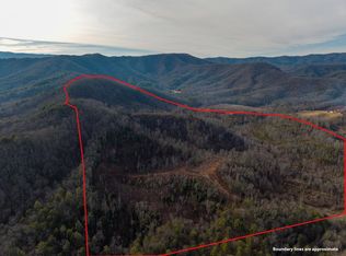 156 Higdon Creek Rd, Blue Ridge, GA 30513