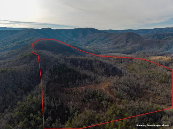 156 Higdon Creek Rd, Blue Ridge, GA 30513