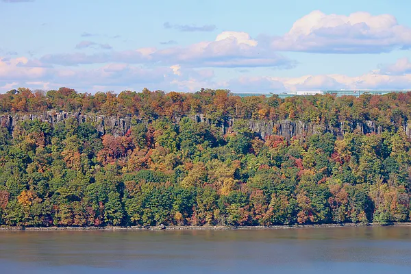 Rented by Bond New York | media 5