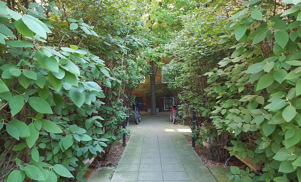 1st image of 509 W Deming Pl APT 2S