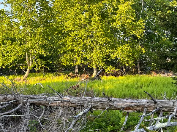 10.7 Louds Island Island, Unorganized Lincoln, ME 04539