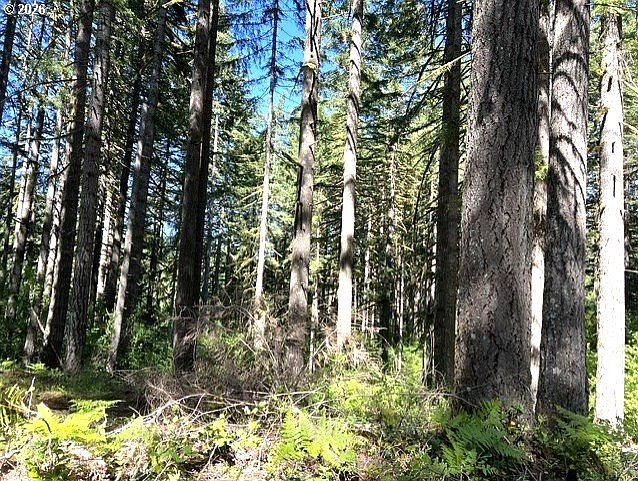 1st image of Tunnel Tract Parcel 2