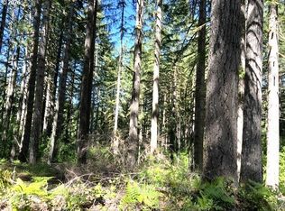 Tunnel Tract PARCEL 2, Banks, OR 97106