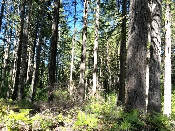 Tunnel Tract Parcel 2, Banks, OR 97106