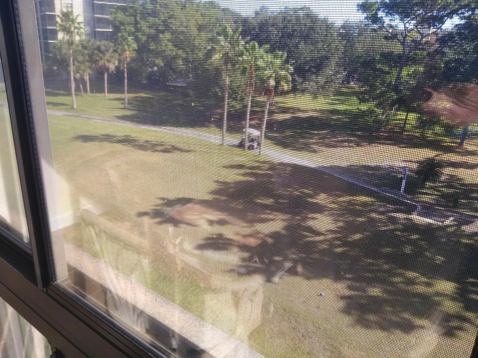 2 bed, 1150 sqft, $1,875 — Photo 4