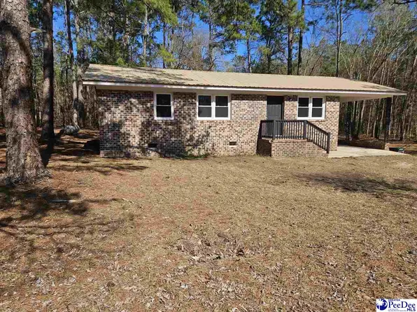 2134 Moccasin Bluff Rd, Hamer, SC 29547