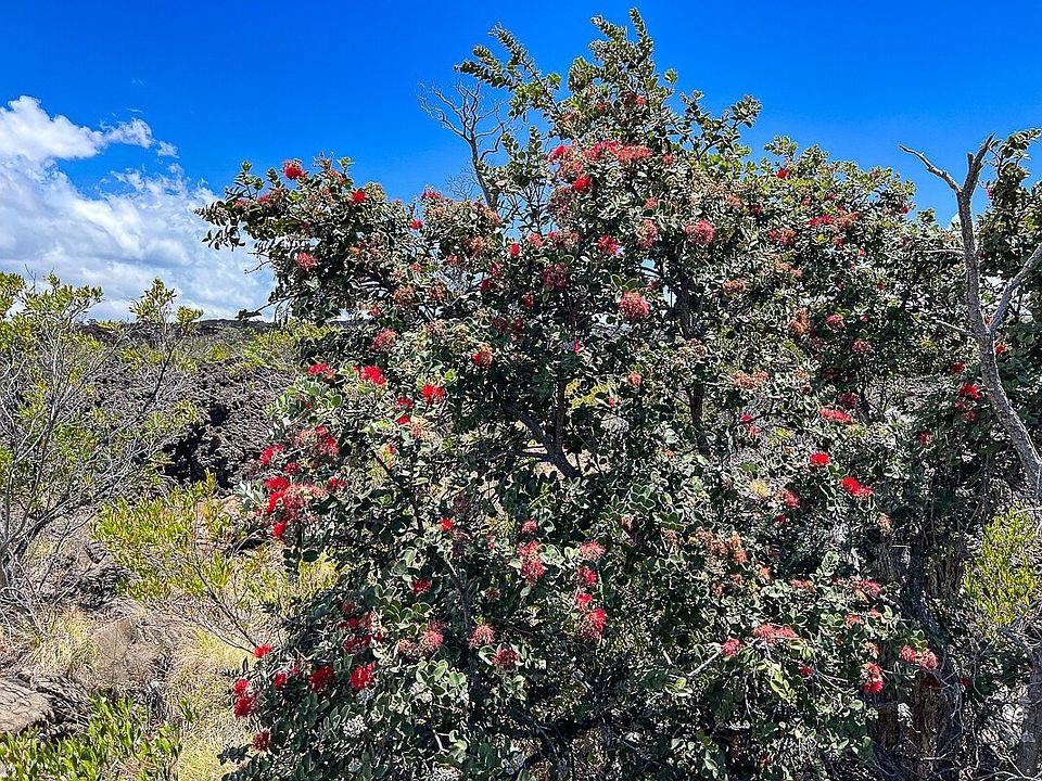 2nd image of 92-693 Kona Gardens Rd Lot 149