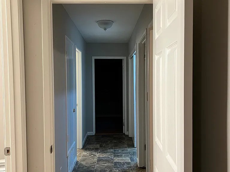 Camellia Ln — Photo 10