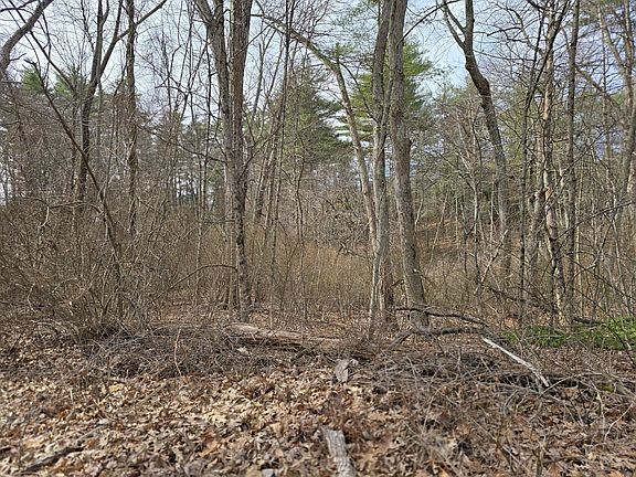 2nd image of 0 Beaver Rd
