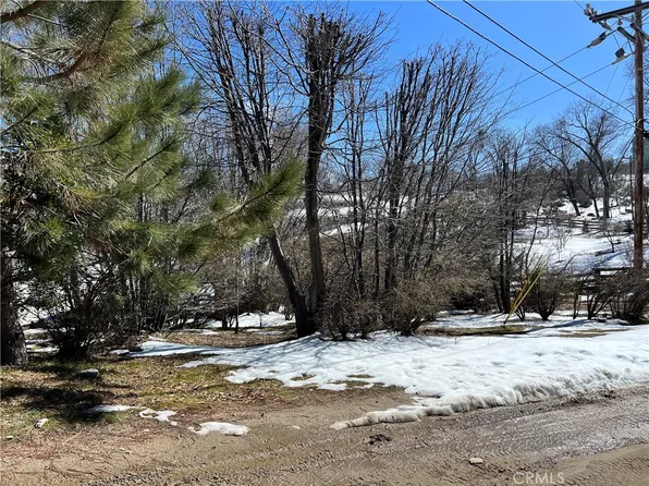 0 Cypress Rd #295, Cedar Glen, CA 92321