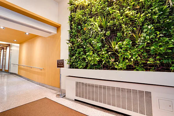 Rented by Oxford Property Group | media 35