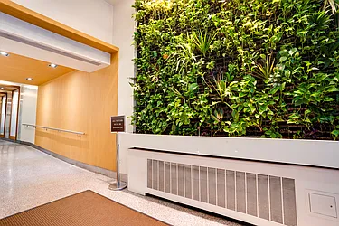 Rented by Oxford Property Group