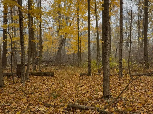 Vl Cres #653, Gobles, MI 49055