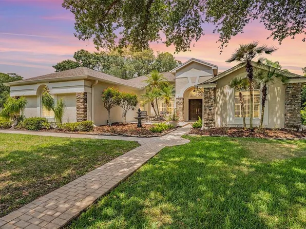 4081 Carlyle Lakes Blvd, Palm Harbor, FL 34685