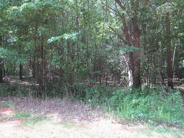 1st image of 47 Vista Drive