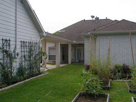 Backyard2