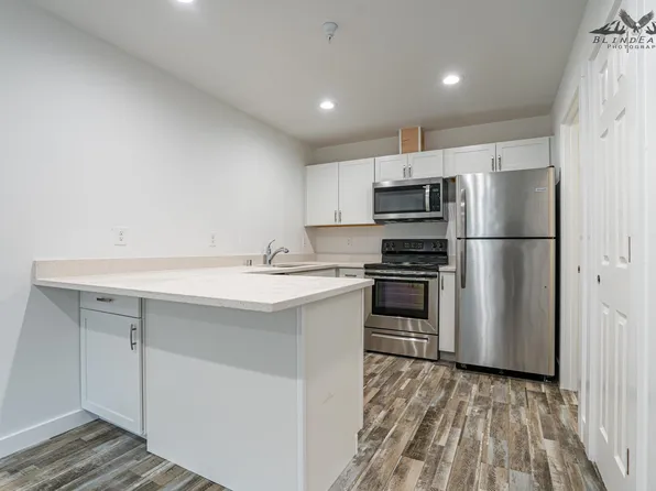 1360 N Winding Brook Loop, Palmer, AK 99645