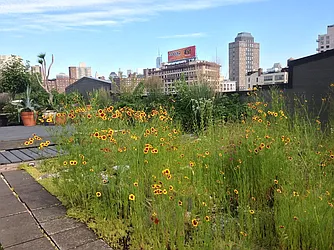 Rented by Owen C Wright, LREB